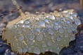 /album/bildgalleri/dsc5780-jpg/